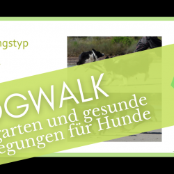 Tierschule.at - Dogwalk - Webinar