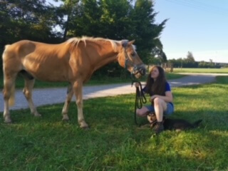 Tierschule.eu - Training - Luisa mit Pferd u Hund