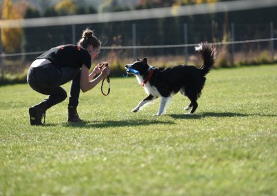 Tierschule.eu - Training - Helena mit Hund spielend